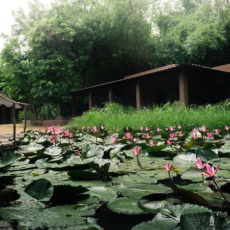 Hampi'S Whiskers Resort Esterno foto